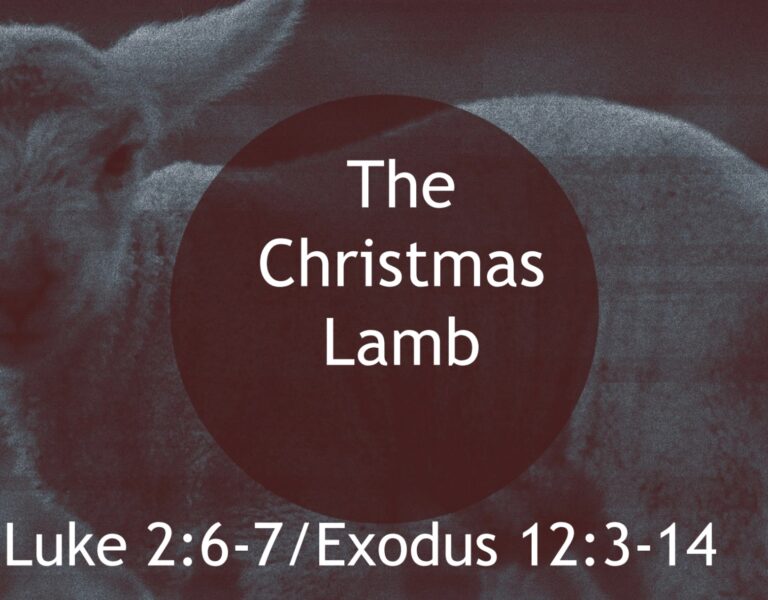 The Christmas Lamb