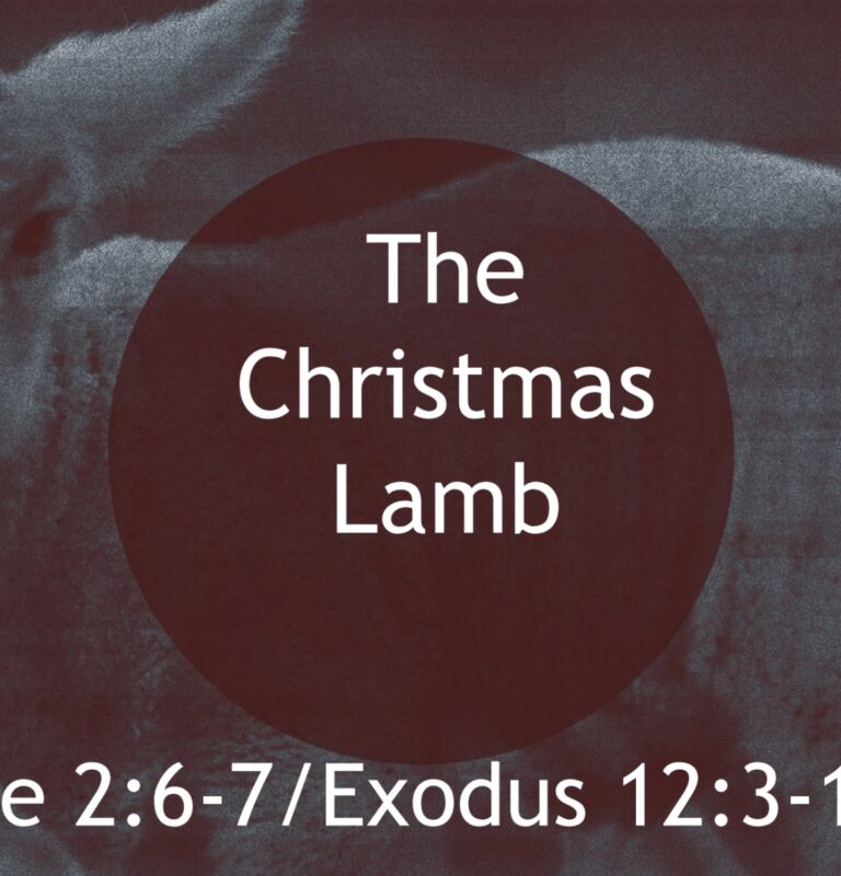 The Christmas Lamb