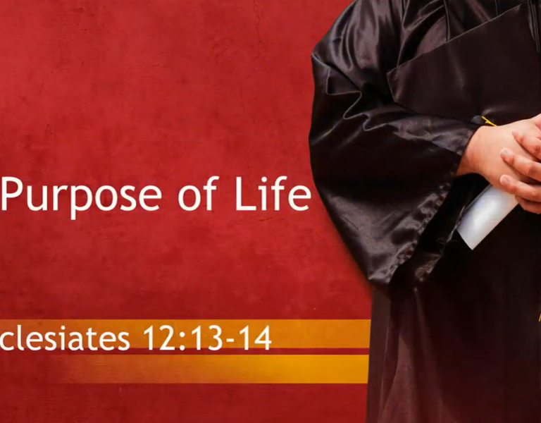 The Purpose of Life