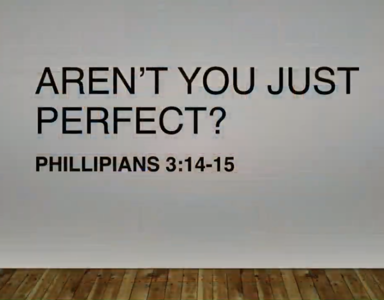Aren’t You Just Perfect?